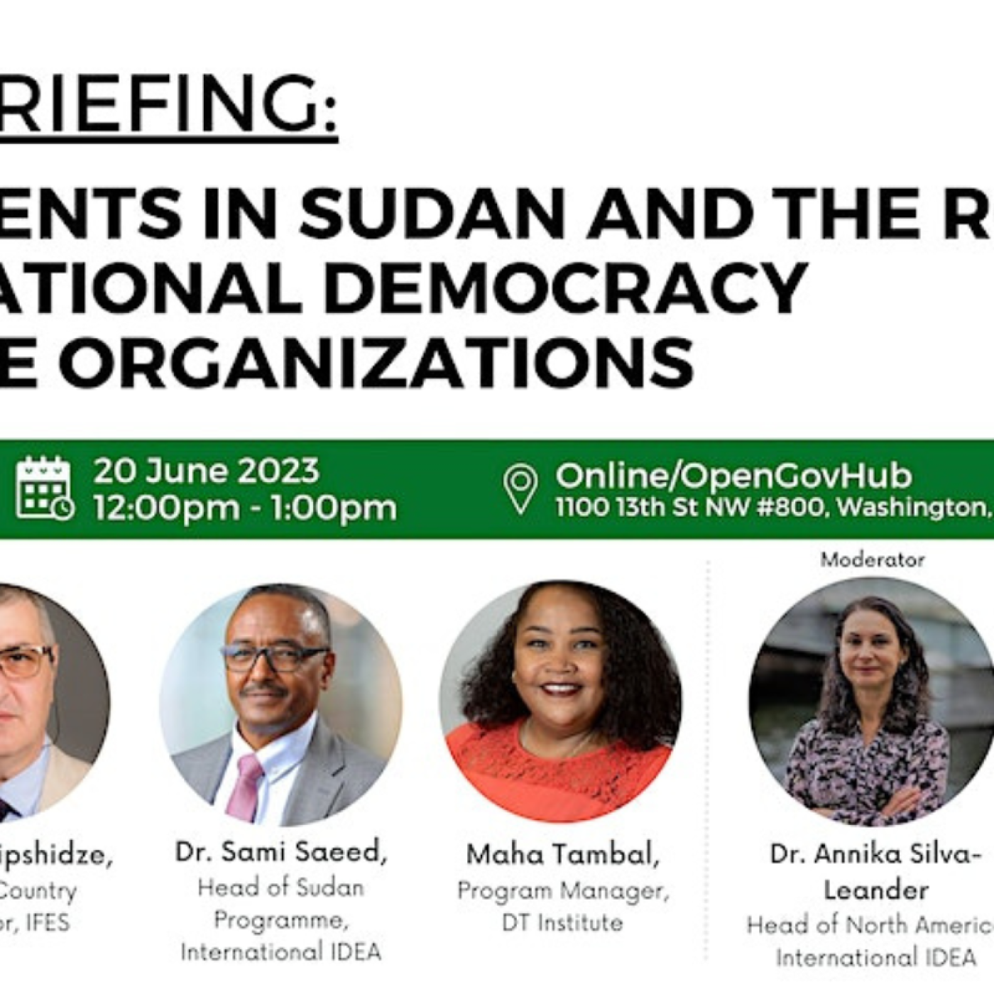 Developments in Sudan and The Role of International Democracy Assistance Organizations