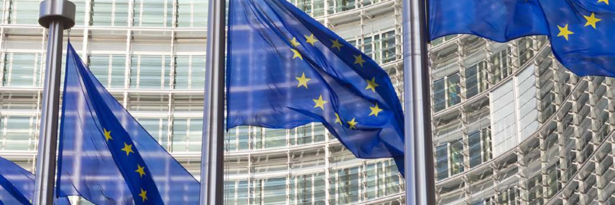 EU flags in front of building