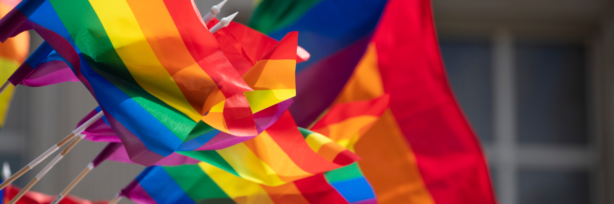 LGBTQ Flags Waving Outdoors photo credit inkdrop via Canva Pro