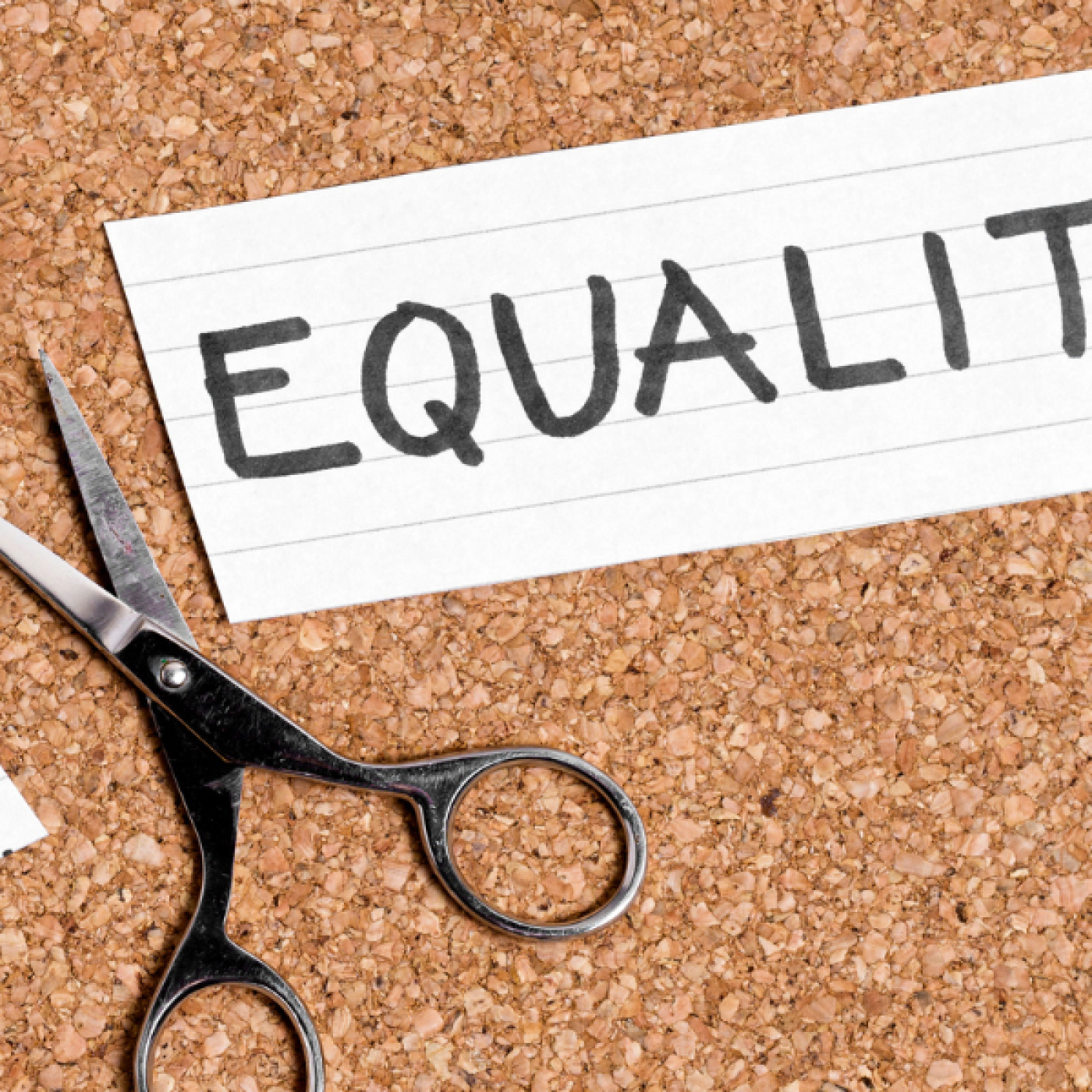 Photo Credit Viorela Florescu via Getty Images for Canva Pro A piece of paper with the word "EQUALITY" written on it pinned to a cork board, with scissors and another piece of paper with the word "IN" beside it.